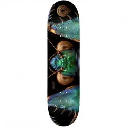 Powell Peralta BISS Bark Mantis Skateboard Deck 245 - 8.75"