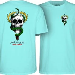 MEN Powell Peralta McGill Skull And Snake T-shirt - Celadon