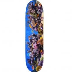Mini Logo Fish Tank "18" Skateboard Deck 291 - 7.75"