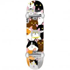 SKATEBOARDS Enjoi Cat Collage Youth FP Skateboard Complete - 7.0" Multi