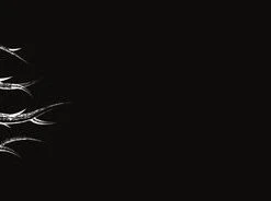 Root Industries Griptape Rooted - White