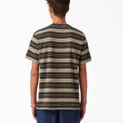 Dickies Skateboarding Stripe Graphic T-Shirt - Black/Moss Stripe (B2S) MEN