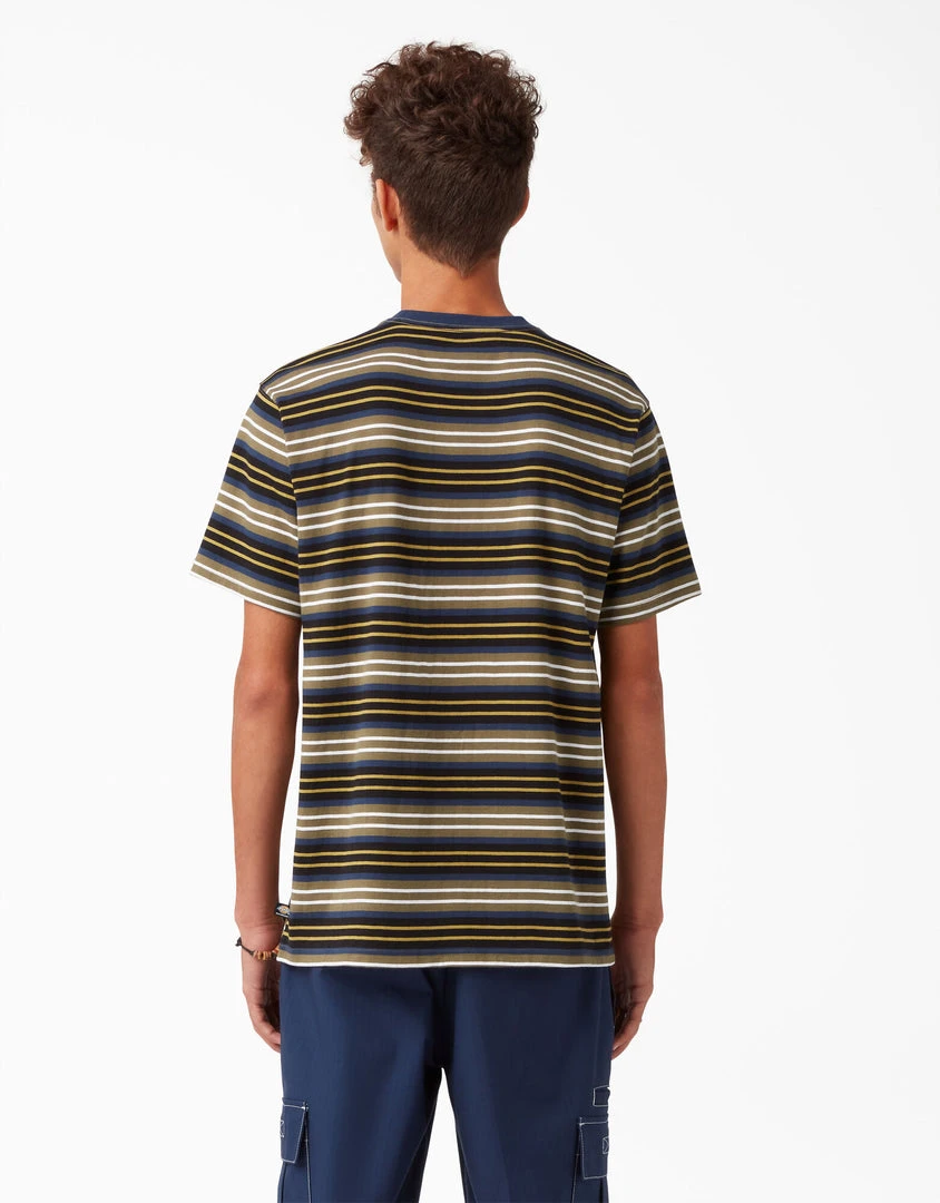 Dickies Skateboarding Stripe Graphic T-Shirt - Black/Moss Stripe (B2S) MEN Dickies Skateboarding Stripe Graphic T-Shirt - Black/Moss Stripe (B2S) MEN