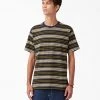 Dickies Skateboarding Stripe Graphic T-Shirt - Black/Moss Stripe (B2S) MEN
