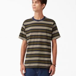 Dickies Skateboarding Stripe Graphic T-Shirt - Black/Moss Stripe (B2S) MEN