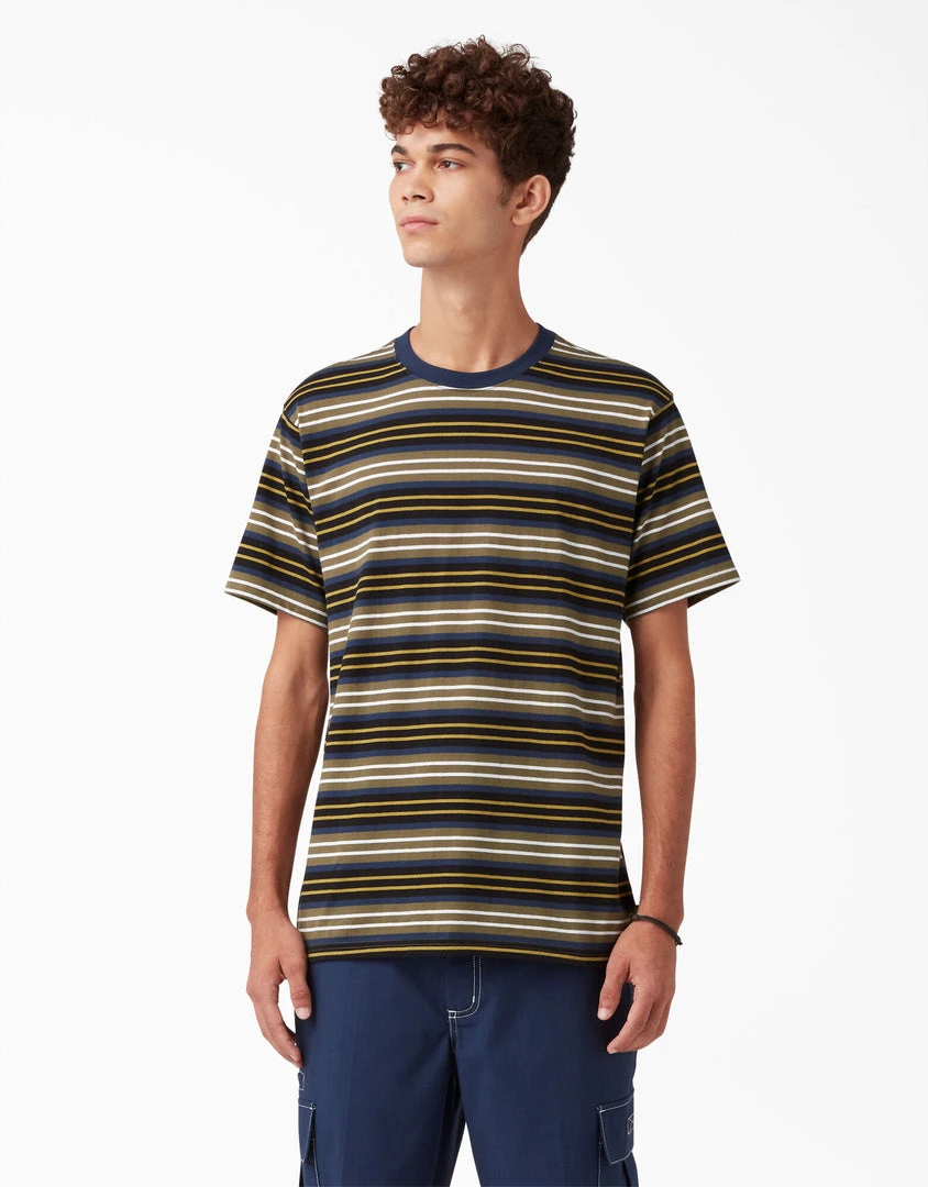 Dickies Skateboarding Stripe Graphic T-Shirt - Black/Moss Stripe (B2S) MEN Dickies Skateboarding Stripe Graphic T-Shirt - Black/Moss Stripe (B2S) MEN