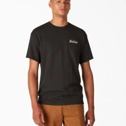 Dickies Skateboarding Split Graphic T-Shirt - Black (BK) MEN