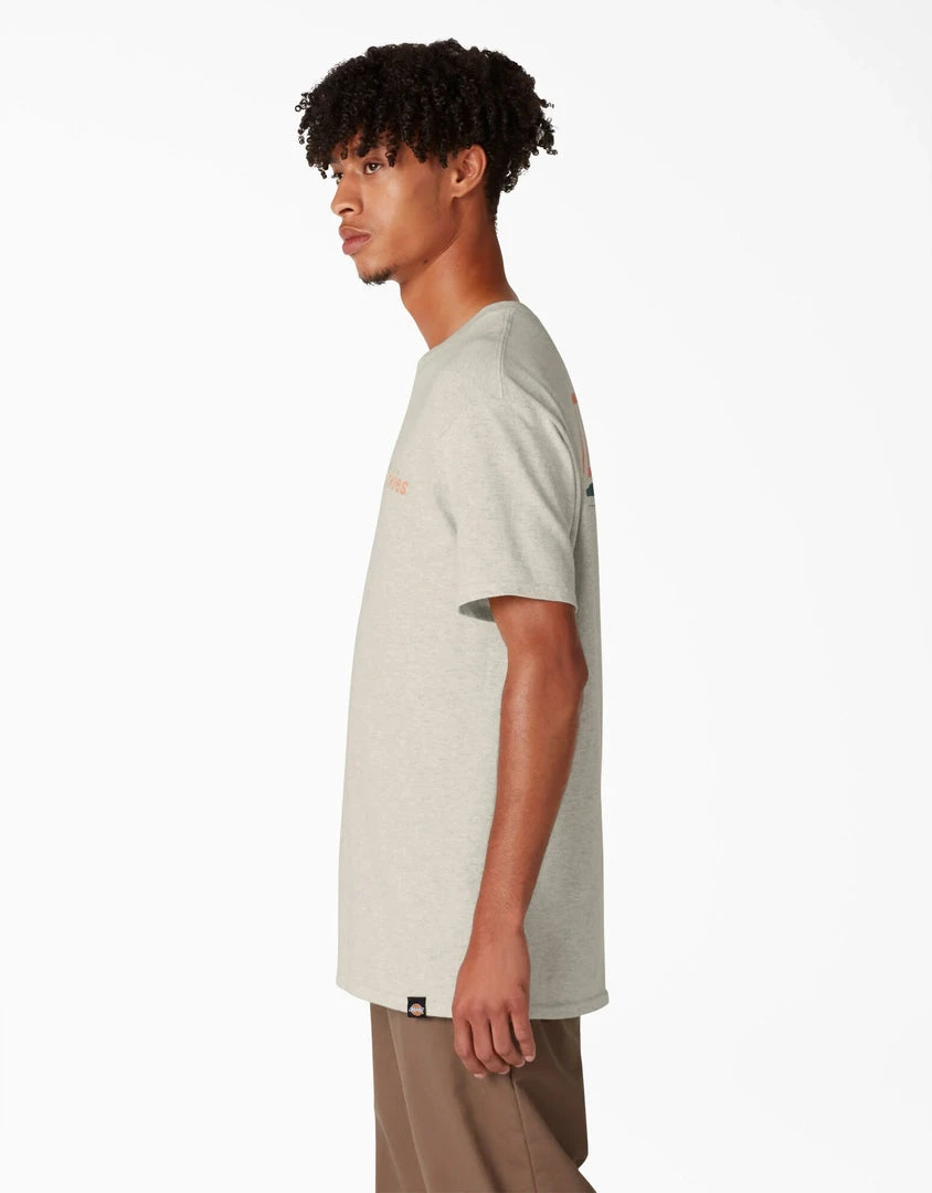 MEN Dickies Skateboarding Split Graphic T-Shirt - Oatmeal Heather (OA) 5 MEN Dickies Skateboarding Split Graphic T-Shirt - Oatmeal Heather (OA)