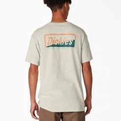 MEN Dickies Skateboarding Split Graphic T-Shirt - Oatmeal Heather (OA)