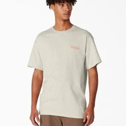 MEN Dickies Skateboarding Split Graphic T-Shirt - Oatmeal Heather (OA)