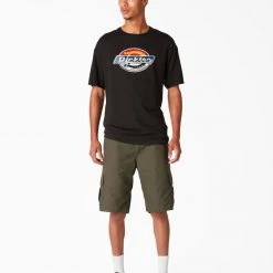 Dickies Skateboarding Break Out Graphic T-Shirt - Black (BK)