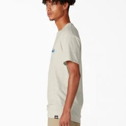 Dickies Skateboarding Break Out Graphic T-Shirt - Oatmeal Heather (OA) 8 Dickies Skateboarding Break Out Graphic T-Shirt - Oatmeal Heather (OA)