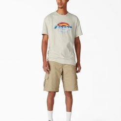 Dickies Skateboarding Break Out Graphic T-Shirt - Oatmeal Heather (OA) 9 Dickies Skateboarding Break Out Graphic T-Shirt - Oatmeal Heather (OA)
