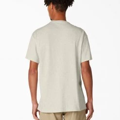 Dickies Skateboarding Break Out Graphic T-Shirt - Oatmeal Heather (OA)