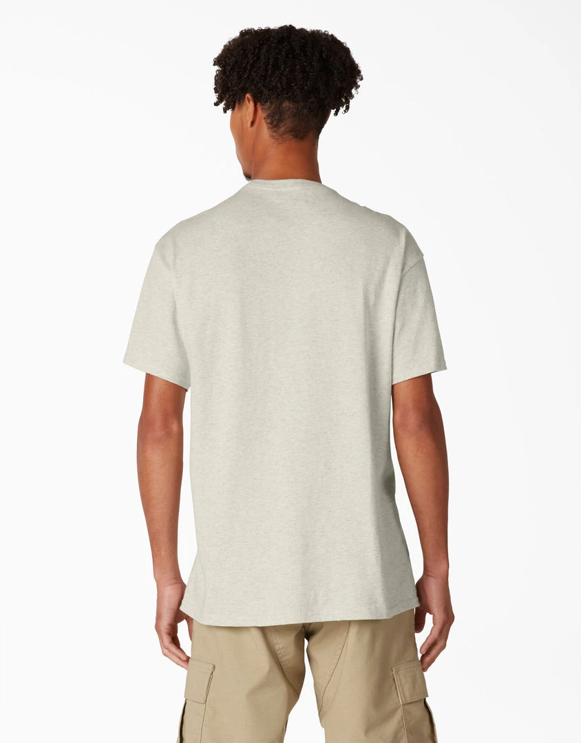 Dickies Skateboarding Break Out Graphic T-Shirt - Oatmeal Heather (OA) 4 Dickies Skateboarding Break Out Graphic T-Shirt - Oatmeal Heather (OA)