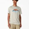Dickies Skateboarding Break Out Graphic T-Shirt - Oatmeal Heather (OA)