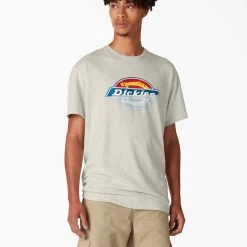 Dickies Skateboarding Break Out Graphic T-Shirt - Oatmeal Heather (OA)