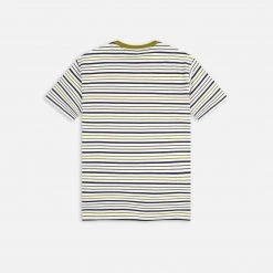 Dickies Skateboarding Stripe Graphic T-Shirt - Green Moss (WES) MEN